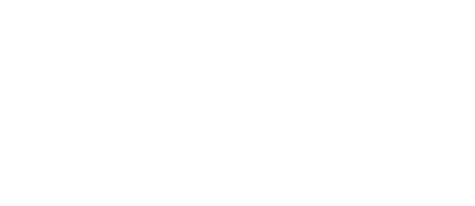 Village of Royal Palm Beach seal